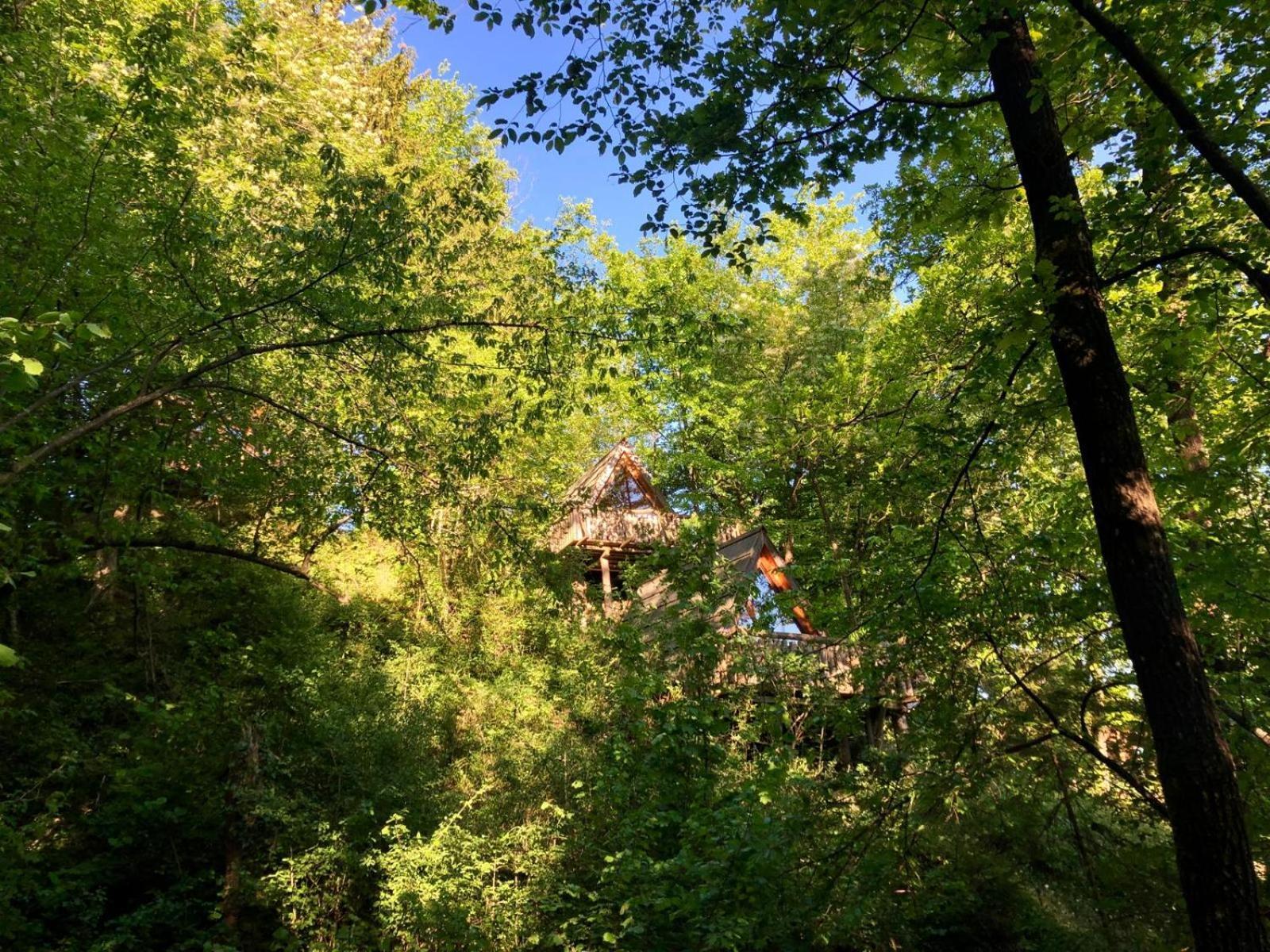Glamping Savinja Hotel Ljubno Exterior photo