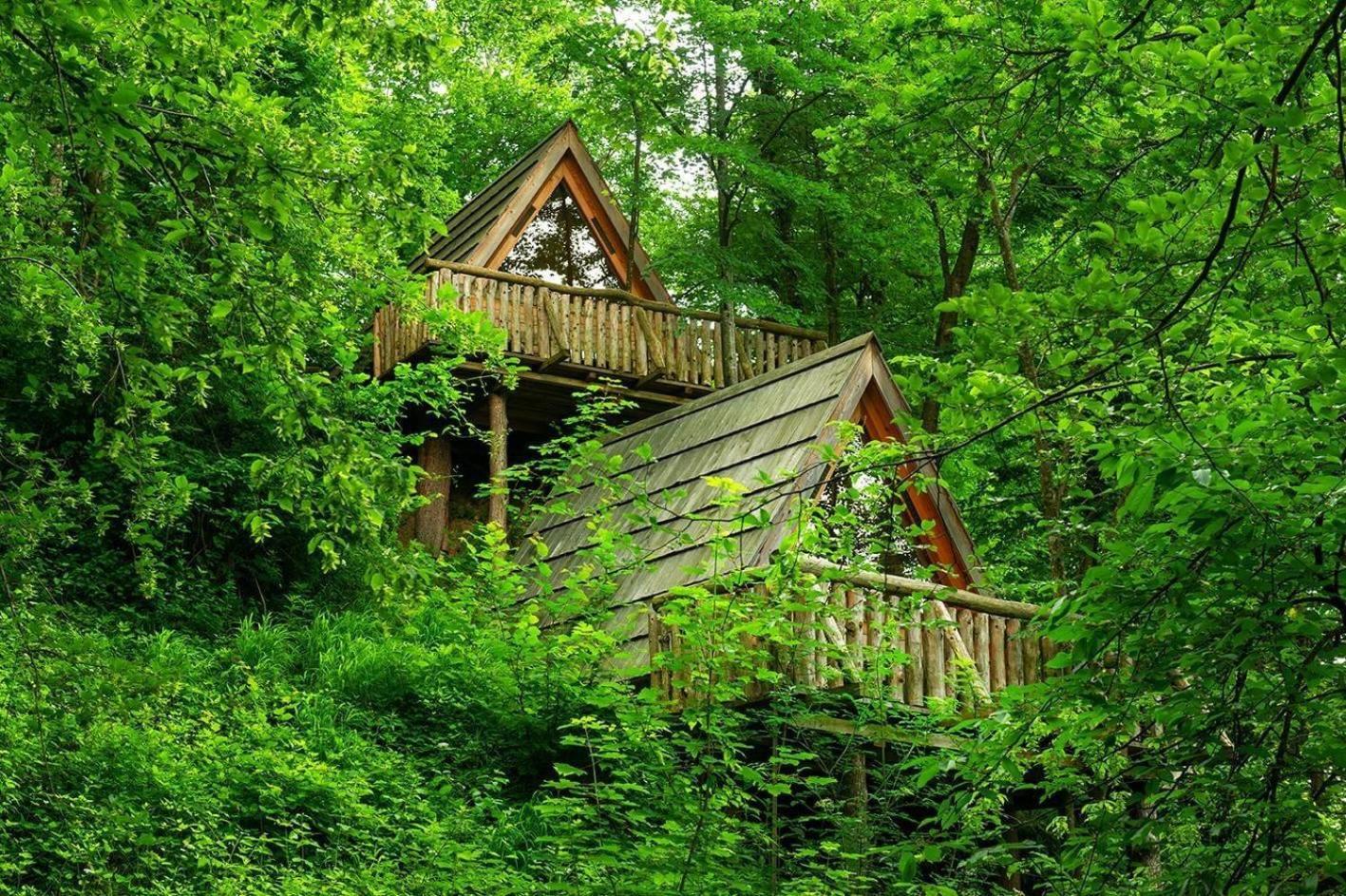 Glamping Savinja Hotel Ljubno Exterior photo