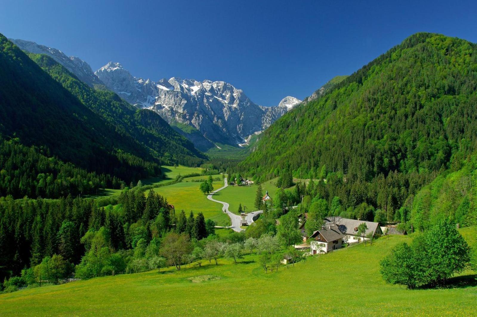 Glamping Savinja Hotel Ljubno Exterior photo